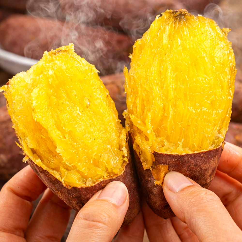 [최단완판1위]특가 꿀맛끝판왕 해남 호박고구마 꿀고구마, 1박스, 10kg (한입) 29,000원