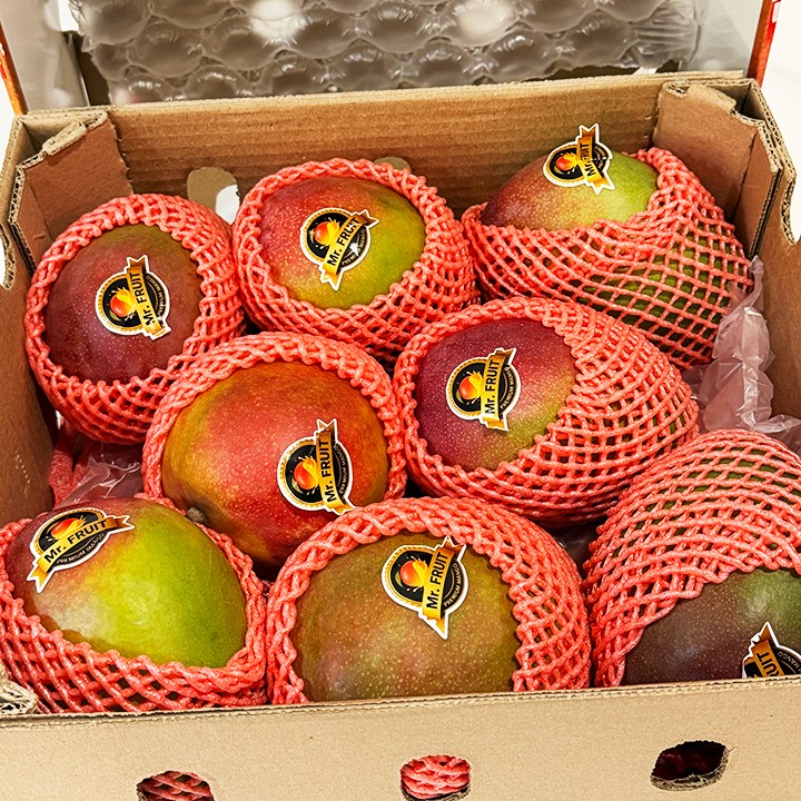 [타임특가]15Brix 고당도 프리미엄 애플망고 20,000원