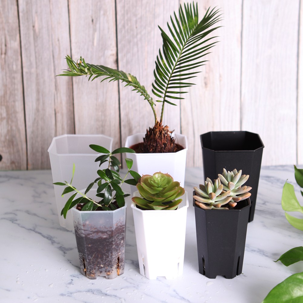 SKFARM 팔각 롱슬릿화분 플라스틱 화분 투명 슬릿화분 삽목 삽수화분 4,500원