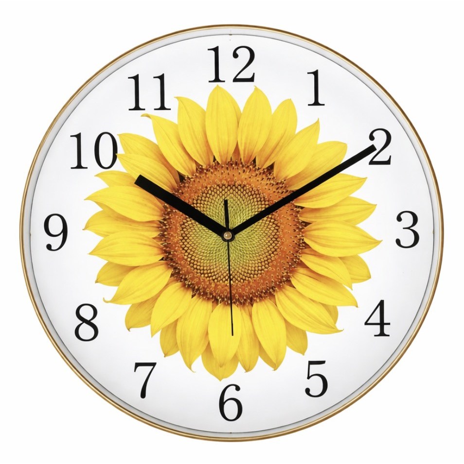 비욘드아트 해바라기 무소음 거실 30cm 벽시계 13,800원