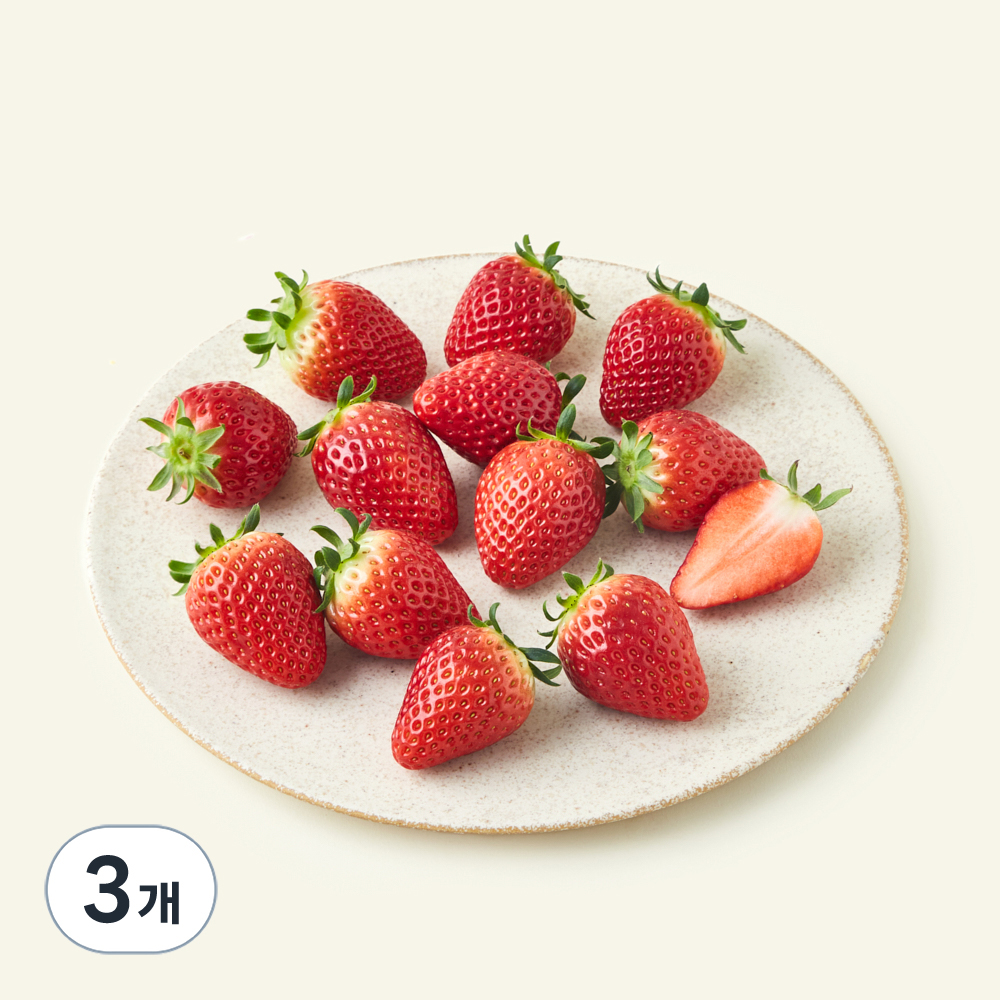 [로켓프레시] 과일진심 산청 GAP 인증 한단 금실 딸기 대과 29,640원