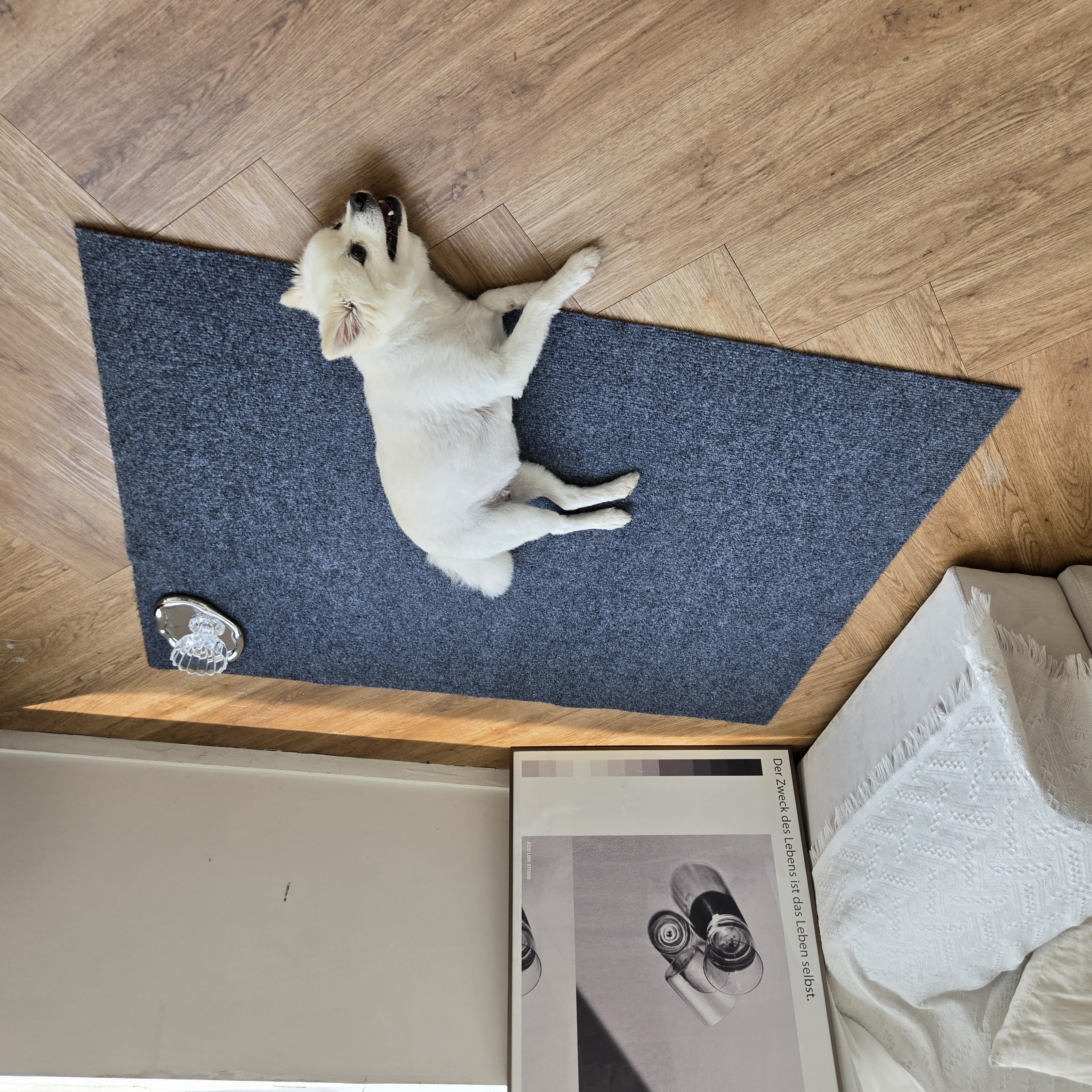 LA DERIVE 의자매트 스크래치방지 소음방지매트 바닥보호 물세탁 의자매트 먼지 차단 사계절 테이블매트 28,800원