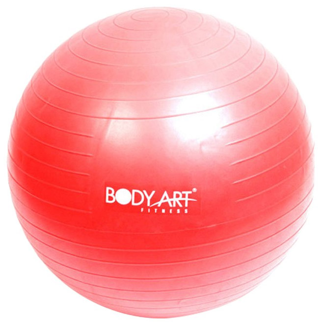 바디아트 프리미엄 안티 버스트 짐볼 12,450원