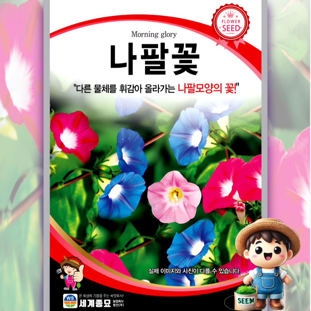 남흥원예사 나팔꽃 3g 꽃씨 씨앗 종자 세계종묘, 1개 1,900원