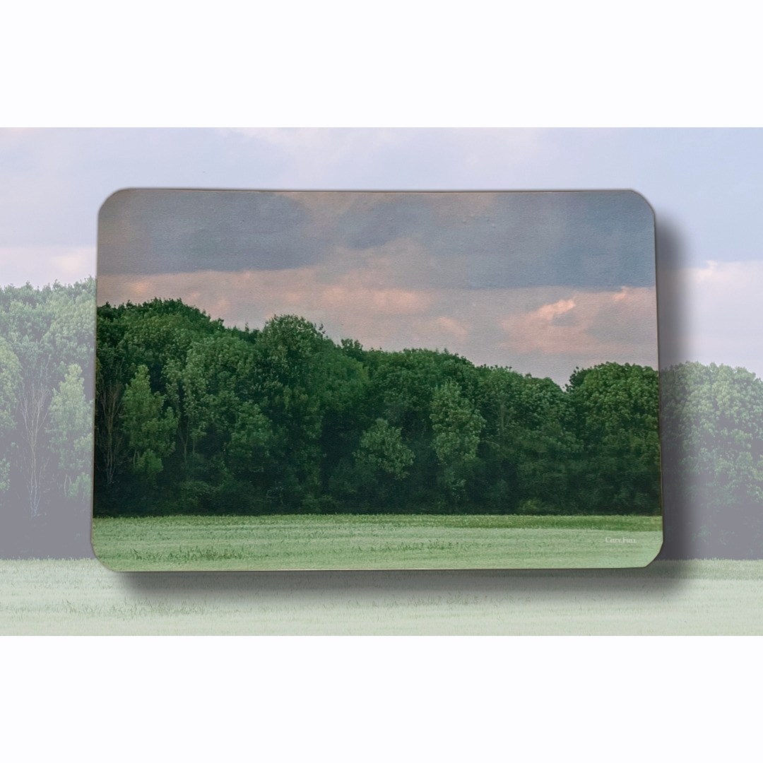 코지풀 비비드 네이쳐 워셔블 소프트 규조토 발매트 화장실 욕실 주방 빨아쓰는 미끄럼방지 16,000원