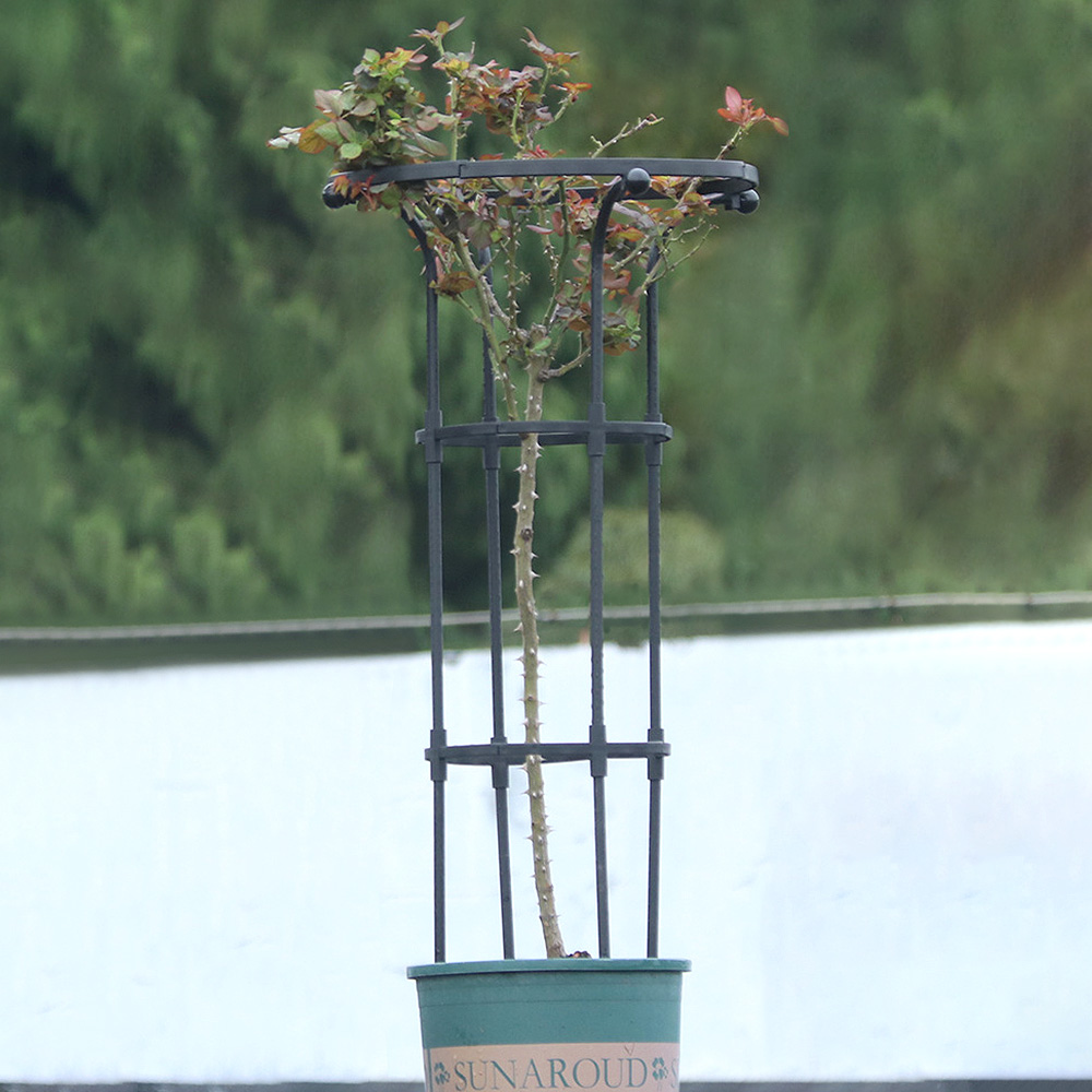 HK.sell 스프링 플랜트 지지대 25,900원