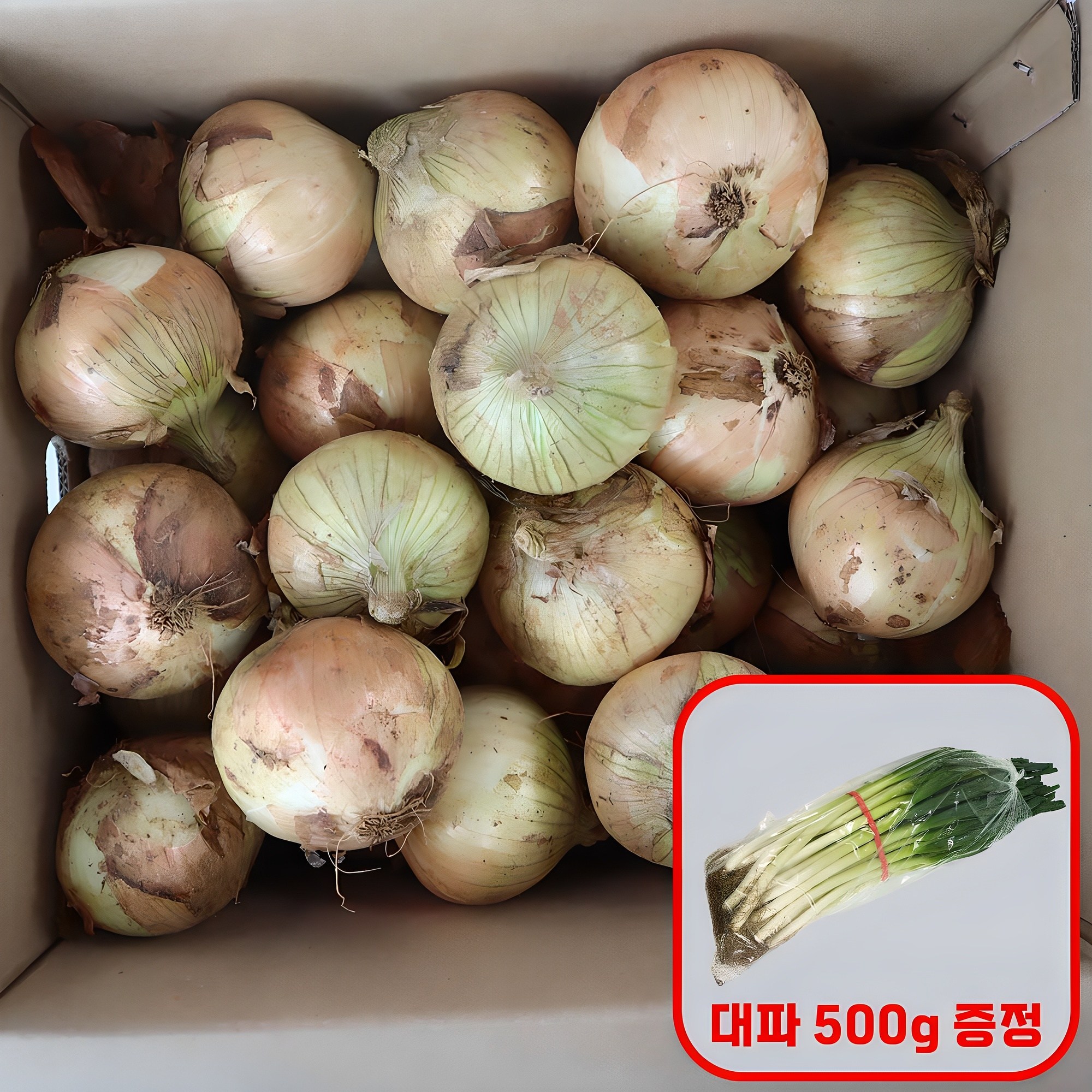 국내산 25년 햇양파 3kg 구매시 신선한 흙대파 500g 증정 5,900원