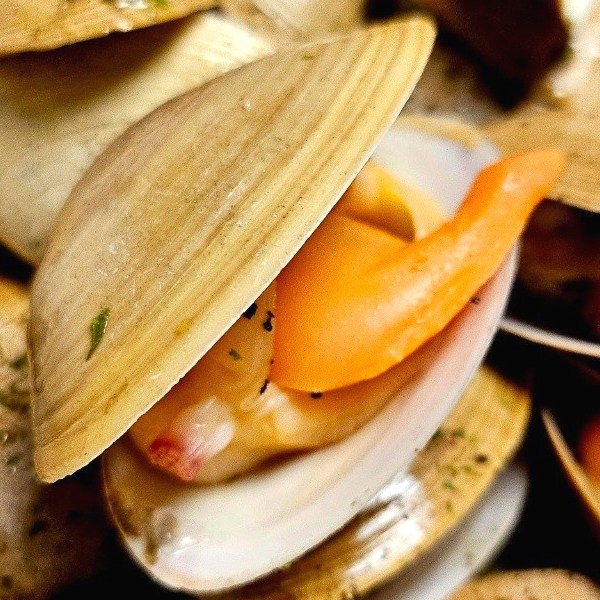 산지 직송 남해안 명품 생물 명주조개 해감 후 출고 갈미조개 노랑조개 32,170원