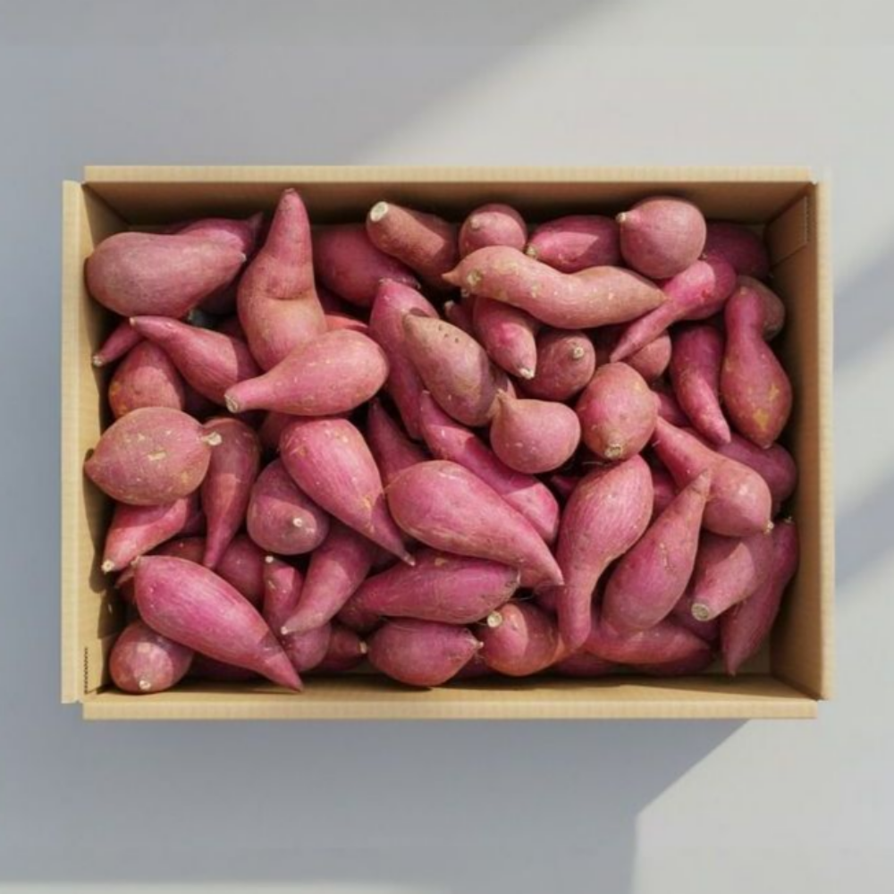 꿀고구마 해남 특품 한입, 1박스, 10kg 26,000원