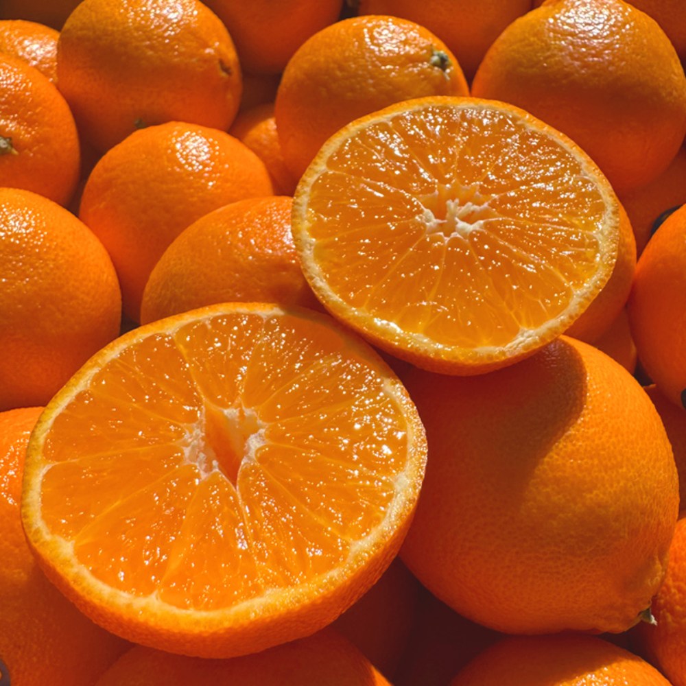 일등농수산 직수입 고당도 만다린귤, 1개, 3kg 혼합과 19,600원