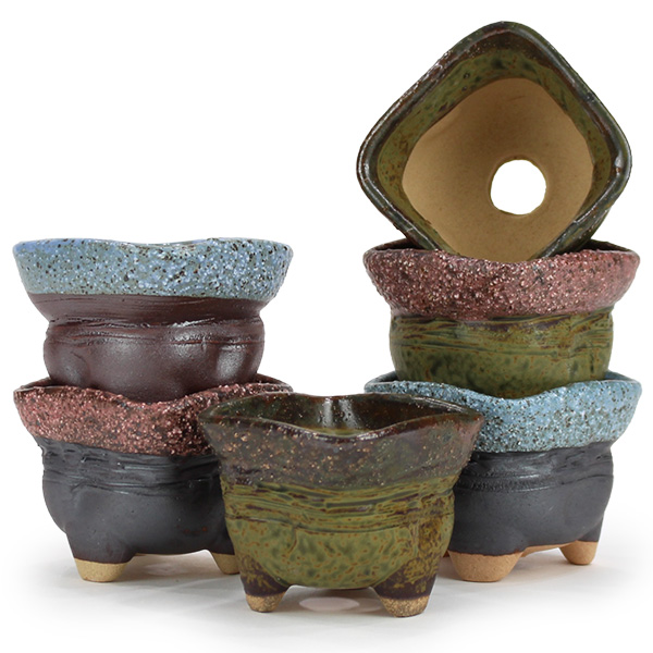 세인화분 사각 다육화분 6P - 랜덤발송 8,600원