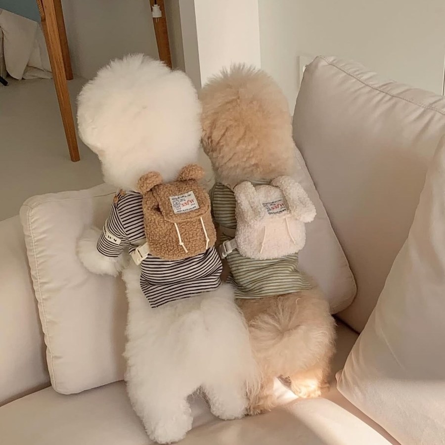 강아지외출 백팩 산책 미니가방 목줄연결 학원 등교 간식 배변봉투 수납 하네스 곰돌이 귀여운, ssfw 곰돌이, 1개 26,500원