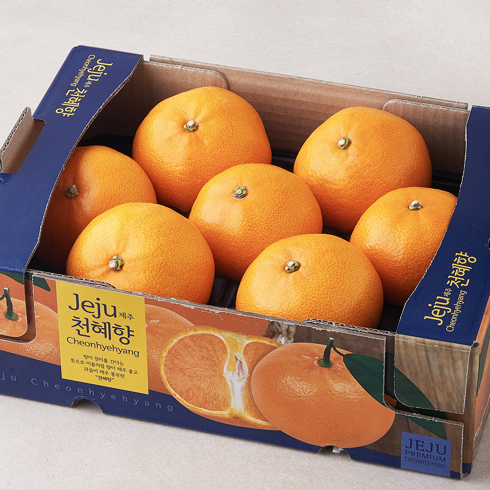 [로켓프레시] 가족 당도선별 천혜향 14,490원