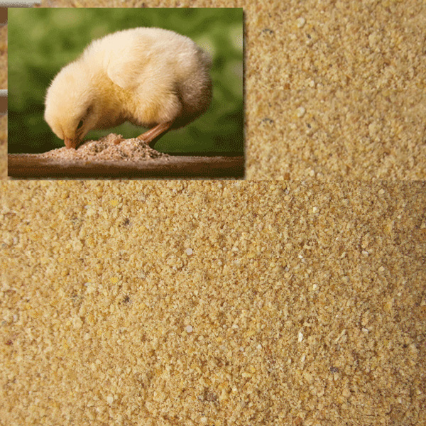 어린병아리 가루사료 10kg 20,000원