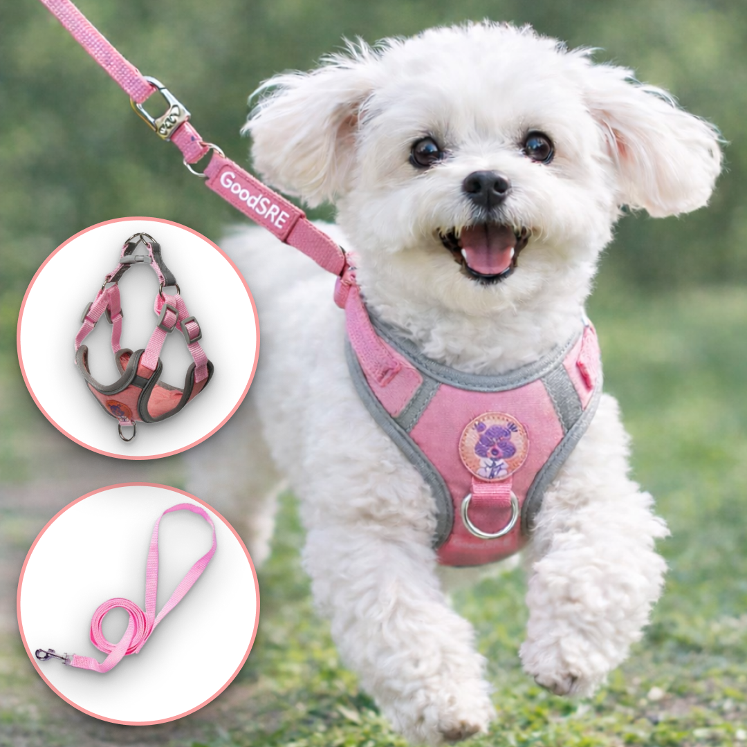 굿새로이 강아지 베이직 H형 야광반사 하네스 리드줄 14,700원