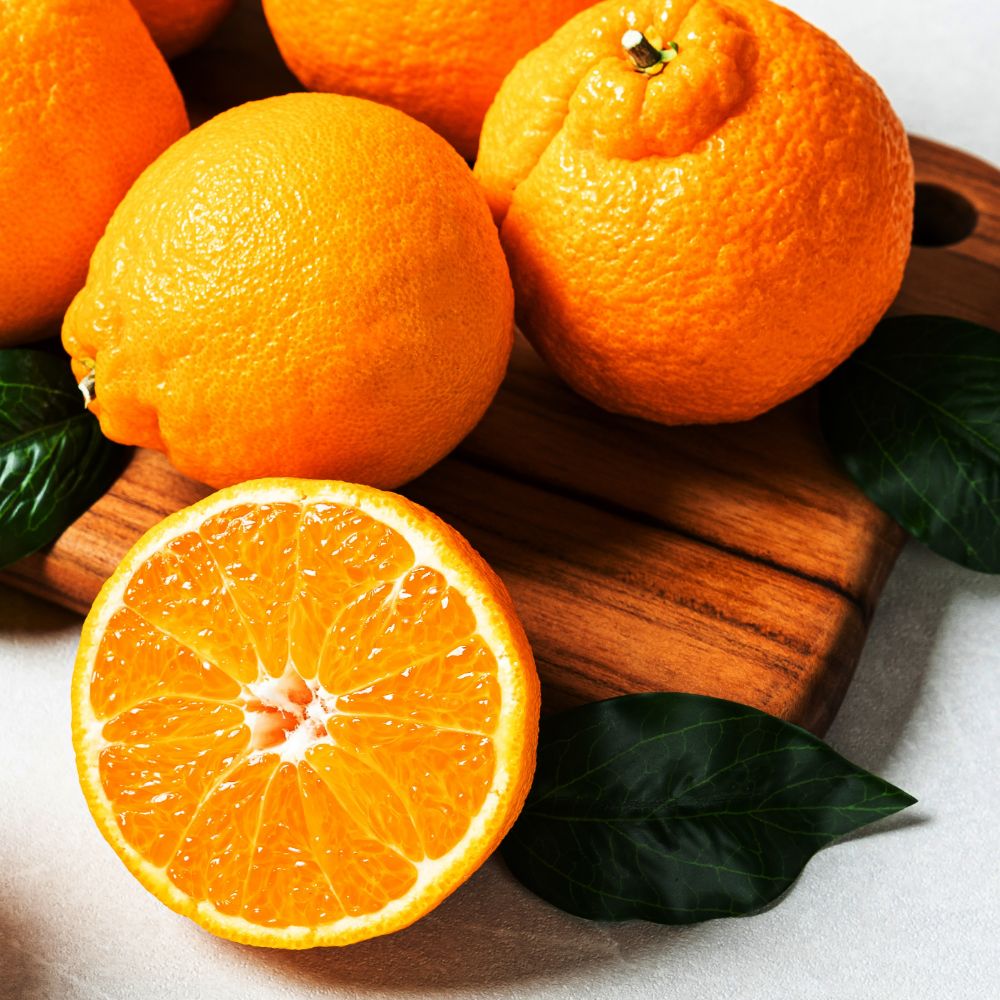 고당도 제주 서귀포 한라봉, 1박스, 한라봉 10kg (랜덤과)소/중/대 54,900원