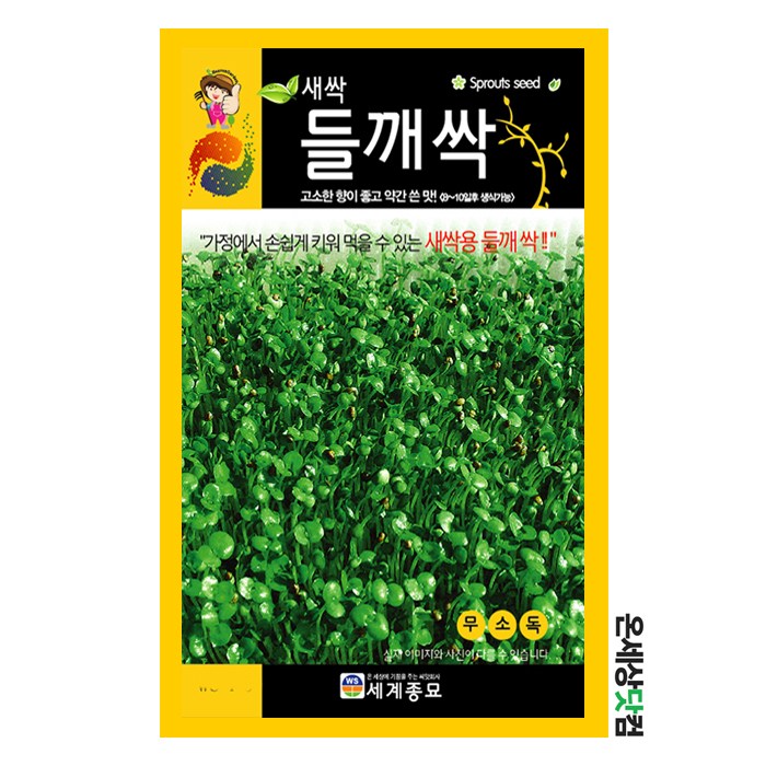 들깨싹 1kg / 새싹씨앗 새싹키우기 수경재배 들깨싹씨앗 들깨싹씨, 현재가 26,000원