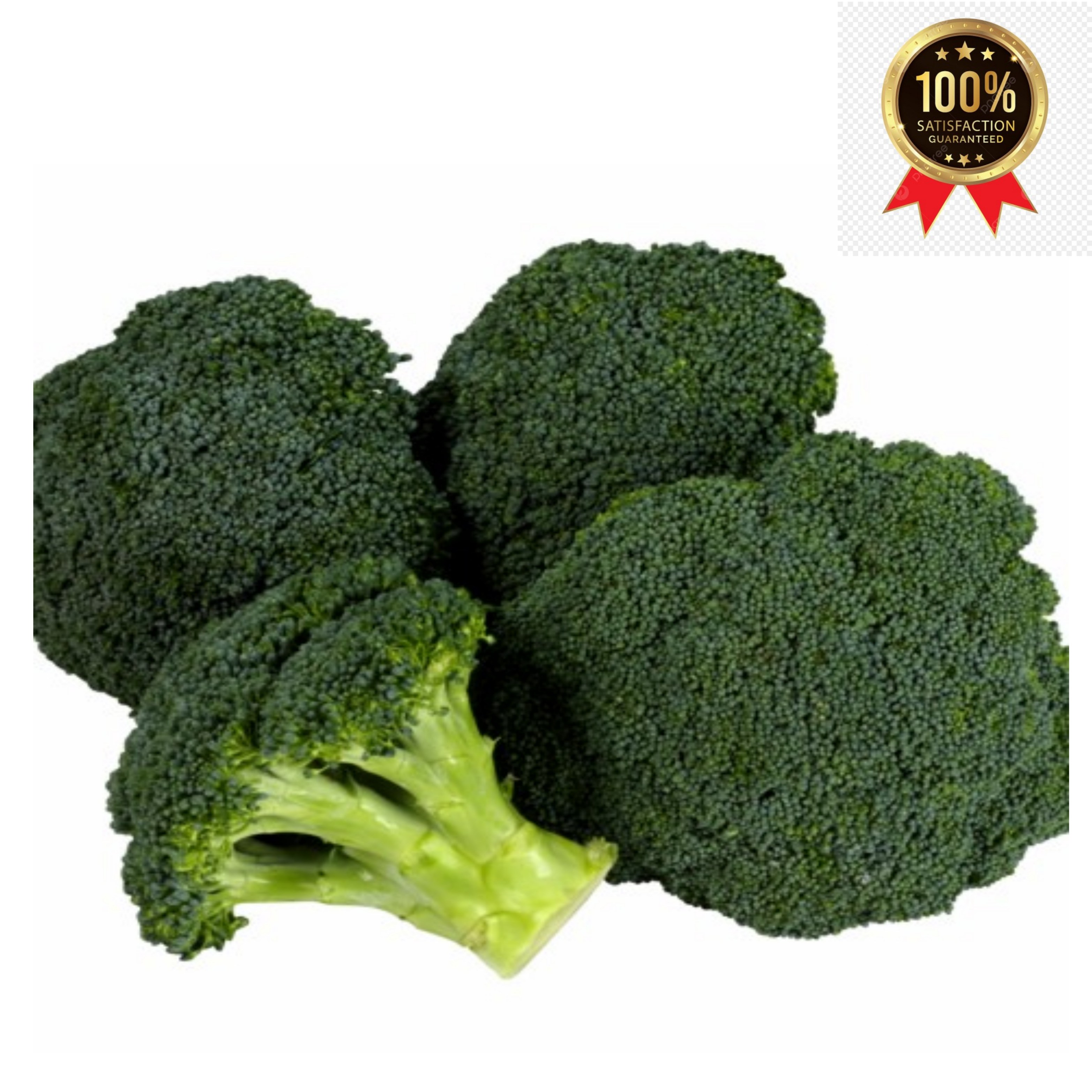 기찬드림 국내산 브로콜리 특품 10,900원