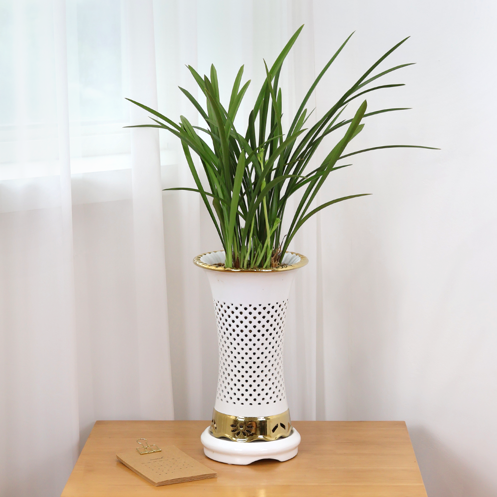 에코플라워 동양란 (백난분 철골소심 17x55) 수도권배송 광역시배송 사진전송 승진 영전 인사이동 진급 취임 개업 당일배송 g-0121, 1개 88,350원