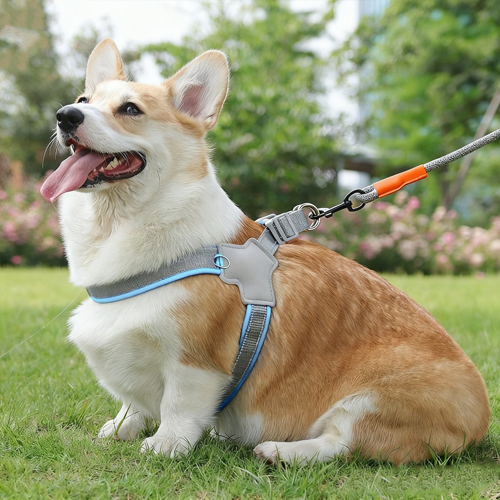 안장형 반려견 가슴줄 통기성 반사 리드줄, 블루 12,000원