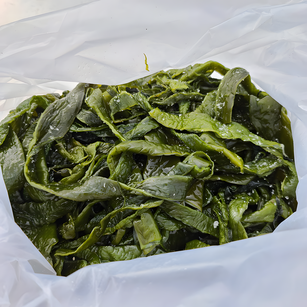 완도 염장 초사리 미역 통줄기 27,400원