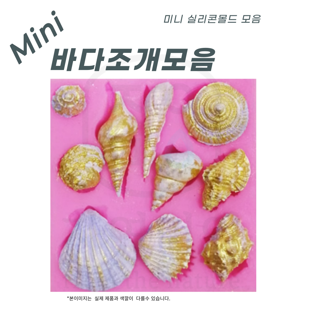 에코문 조개모음 10구-소라 실리콘몰드 수제 비누 초코렛 석고 미니 데코 몰드 3,200원