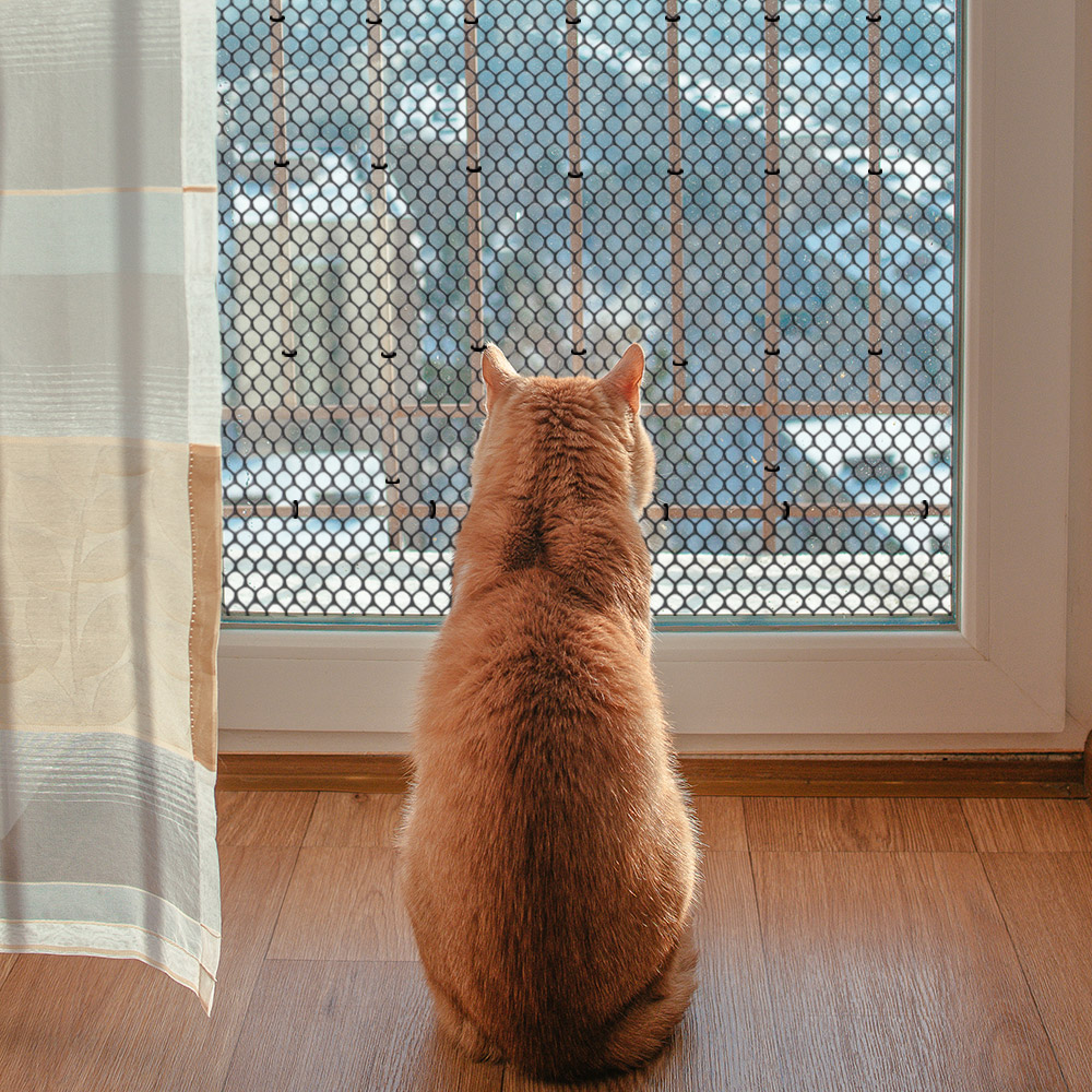 딩동펫 반려동물 헥사곤 안전 울타리망 블랙 12,500원