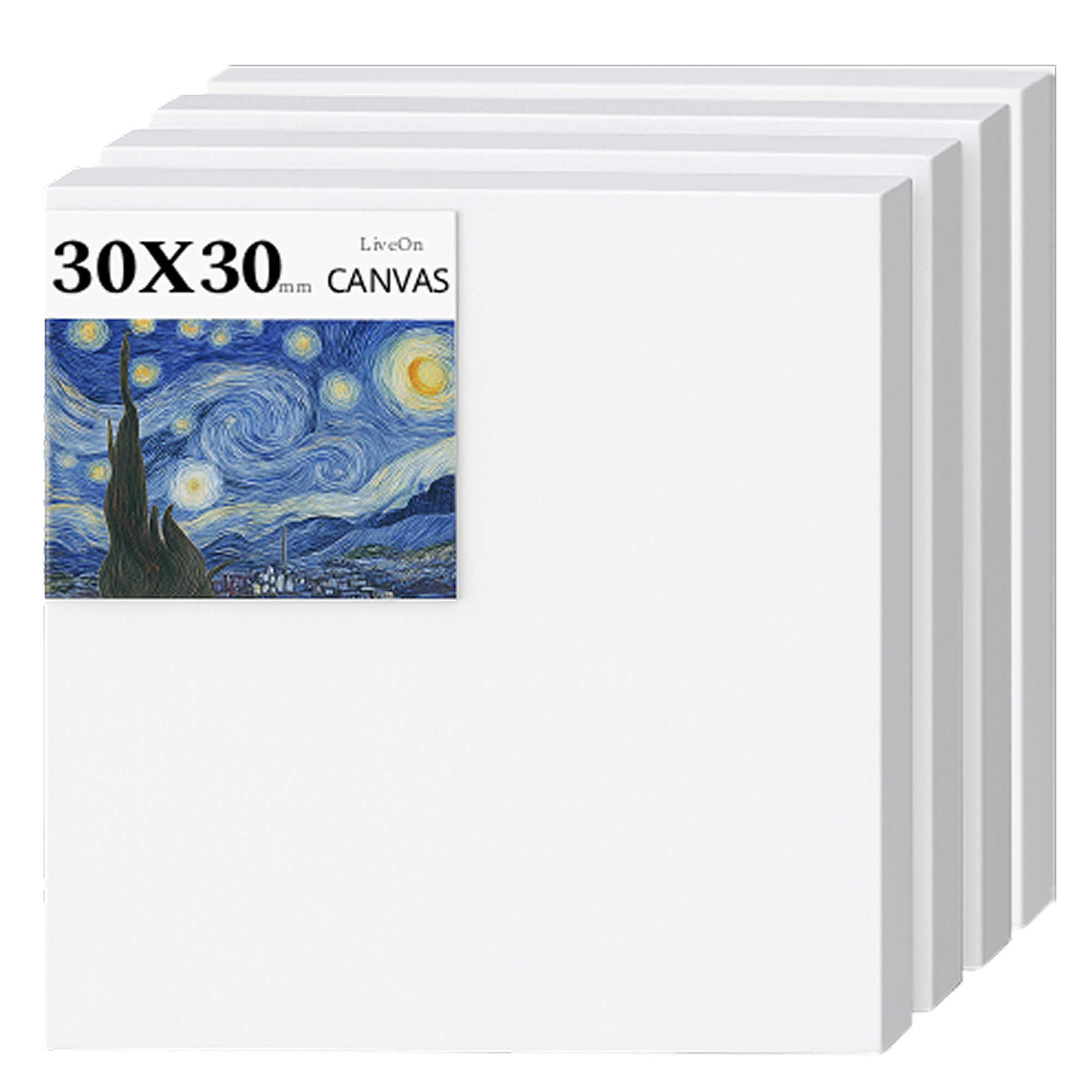 리브온 고탄성 면천 유화 아크릴 겸용 프리미엄 캔버스 30 x 30 cm 12,700원