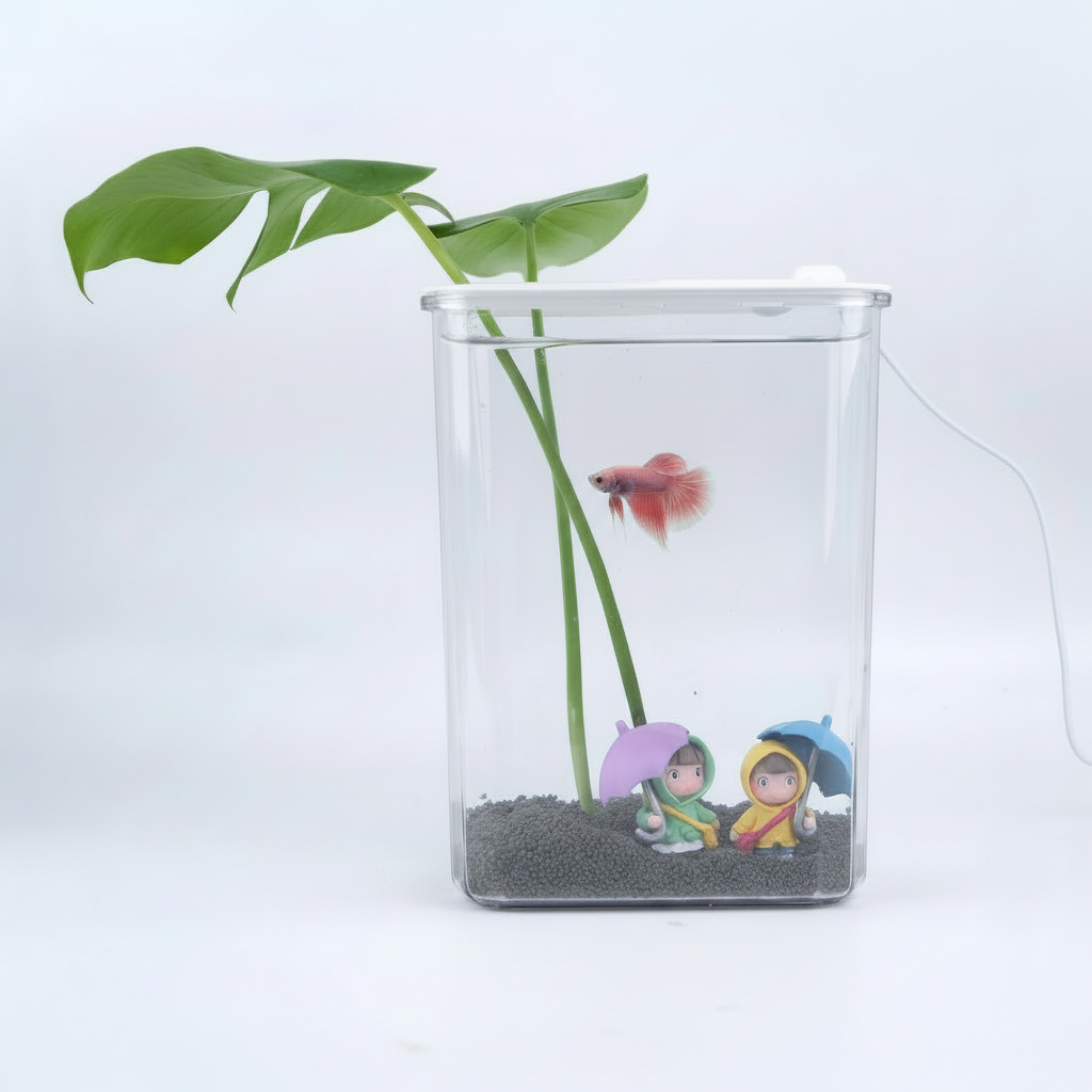 수경재배 화분 일체형 미니 어항 베타 구피 플라스틱 탁상용 수조 15,790원