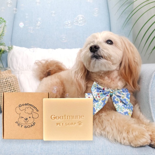 고트뮨 산양유 강아지 비누 (원재료원산지:뉴질랜드), 4개, 110g 60,000원