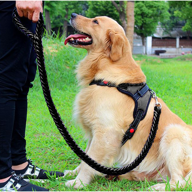 견생견사 소중대형견 하네스 + 리드줄 세트, 블랙(세트), 1개 19,840원