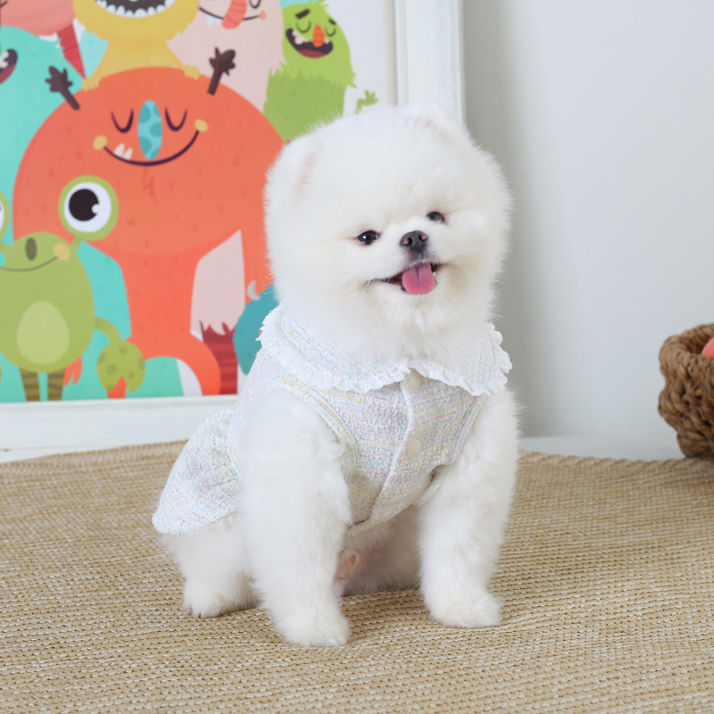 에이미러브즈펫 반려동물 LA 트위드 크롭 원피스 14,880원