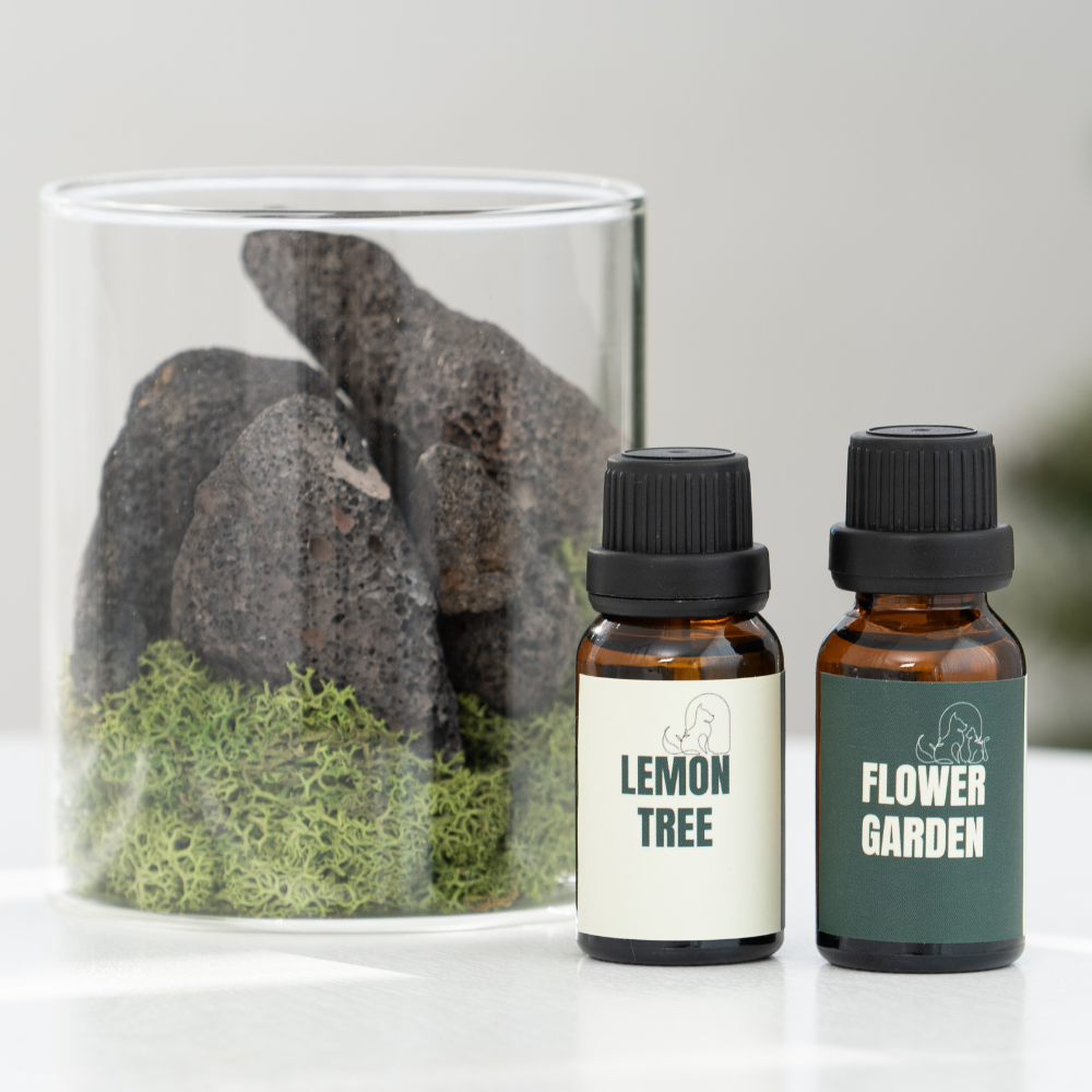 디퓨리 천연 이끼 화산석 테라리움 키트 실내 공기정화 인테리어 오브제 반려동물 방향제, 1개, 15ml, 테라리움 디퓨저 + 향료2종(레몬밤,장미) 54,000원