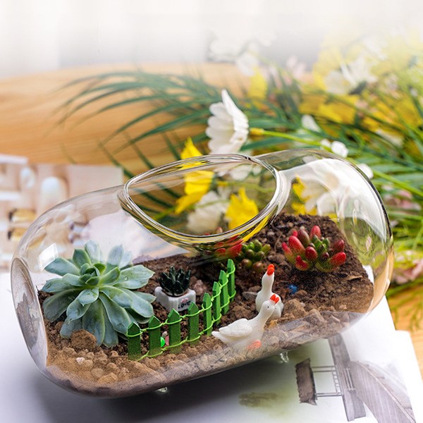 테라리움 어항 용기 유리볼  원통형유리병 이끼만들기 재료 케이스 미니분재 15,800원