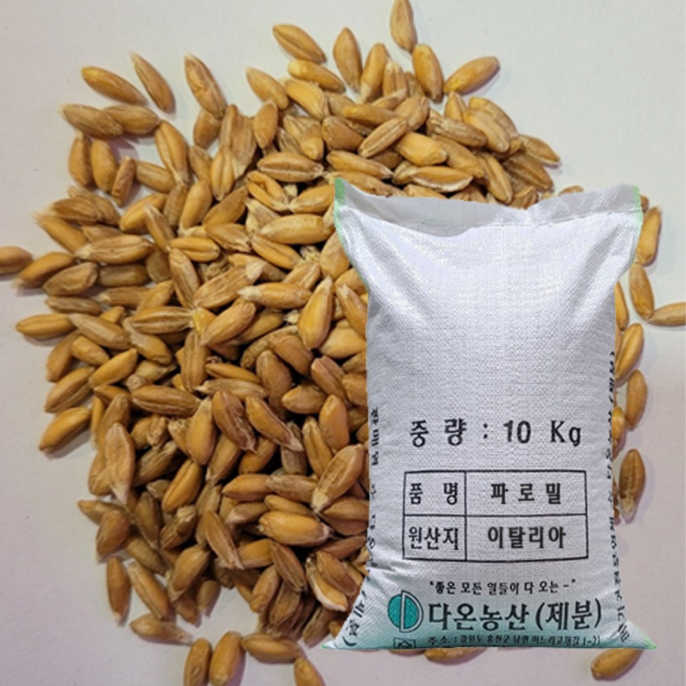 [다온농산] 수입 파로 FARRO -10Kg- 품질 좋은 이탈리아 파로 엠머밀, 1개, 10kg 77,800원