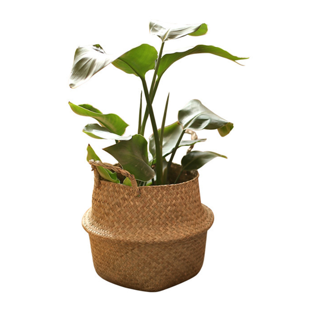 코드86 인테리어 라탄바구니 화분커버 왕골 해초 바구니 7size, 1개 1,720원