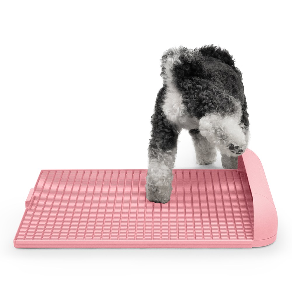 독톡 강아지 배변판 패드필요없음, 페일핑크, 1개 47,410원