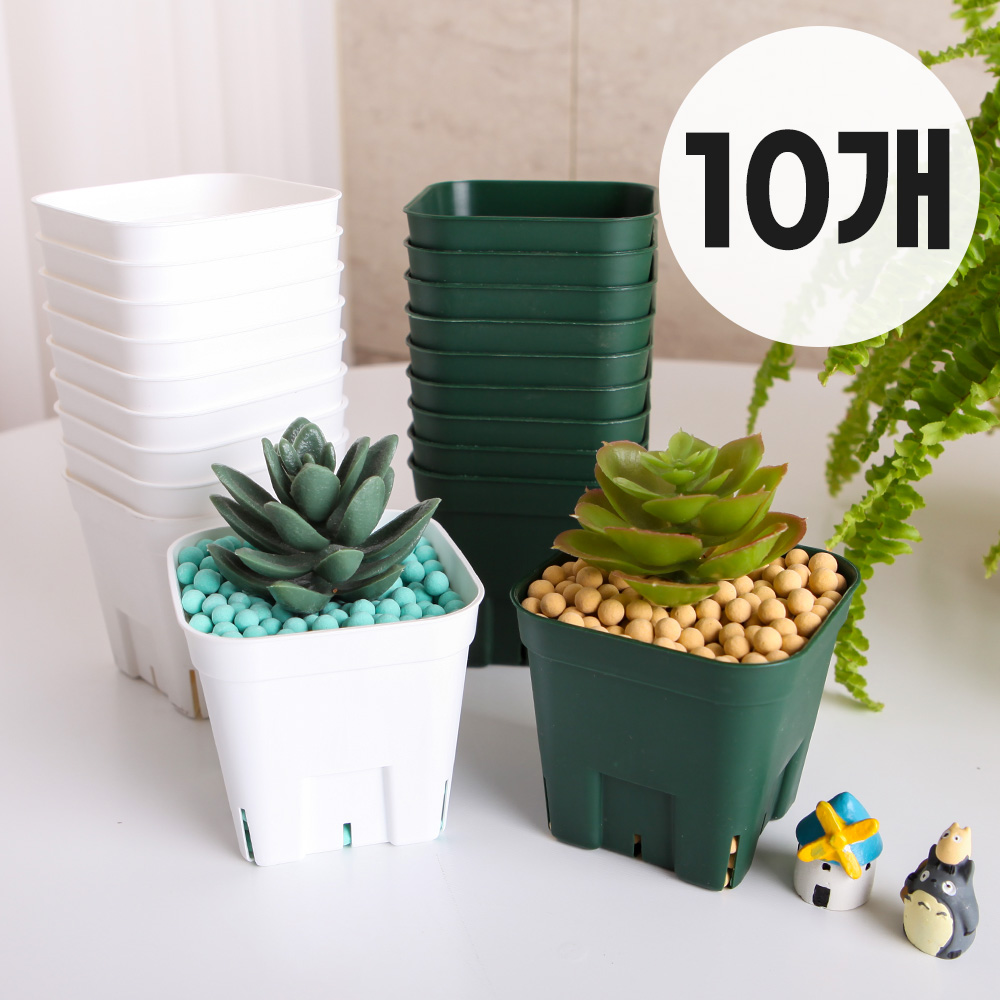 세경팜 프레스테라 사각 슬릿화분 10개입 롱타입 쇼츠타입 10,000원