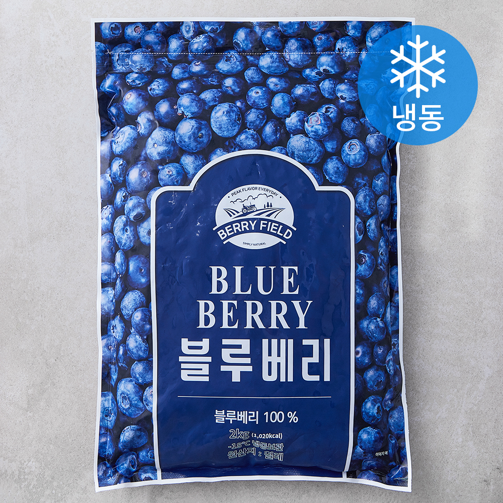 [로켓프레시] 칠레산 블루베리 (냉동) 17,900원