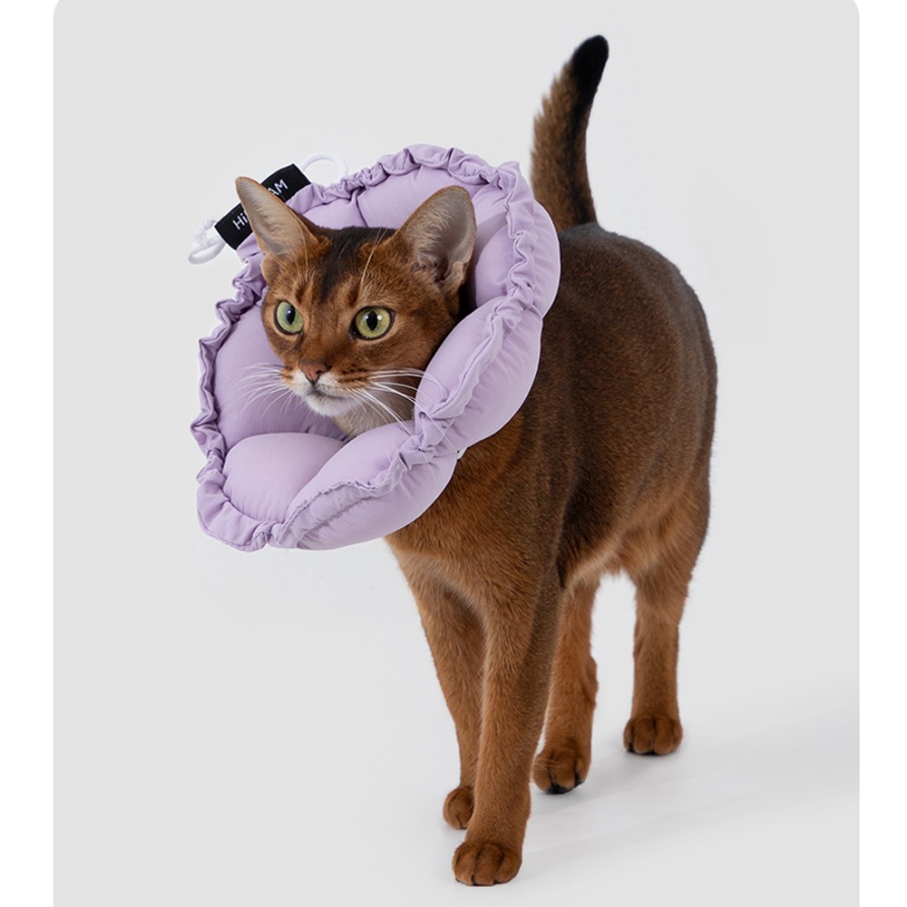 모츄츄 강아지 고양이 초경량 펫 칼라 66g, 2way 플라워 베개 칼라 접이식+접이식, 수술방지 컨, 목욕후 보호대, 알러지 방지, 편안한 착용감, 1개, 토란 퍼플 29,800원