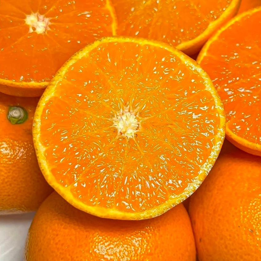 간편한식탁 선착순 특별 헤택가 제주 레드향 고당도, 1박스, 레드향 5kg 55,770원