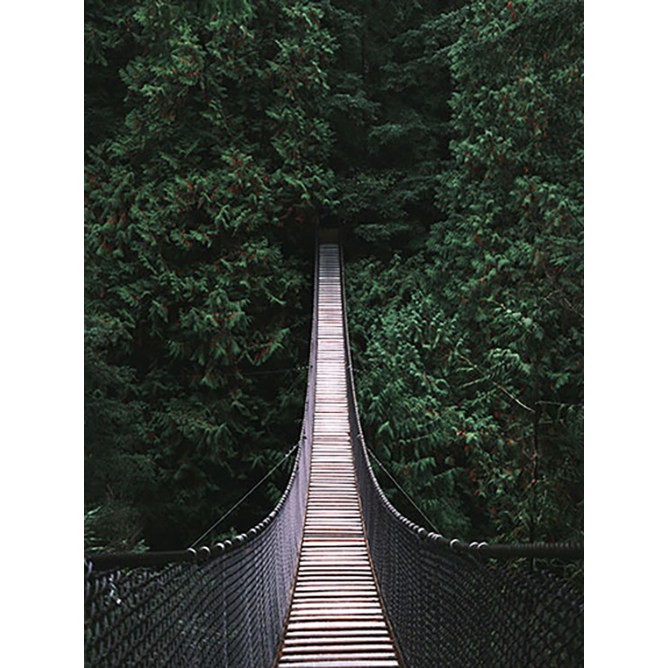 [다인] C.P 전용향 떼누아(The-Noir29 F.O) - 비누만들기용, 1개, 1L 86,900원