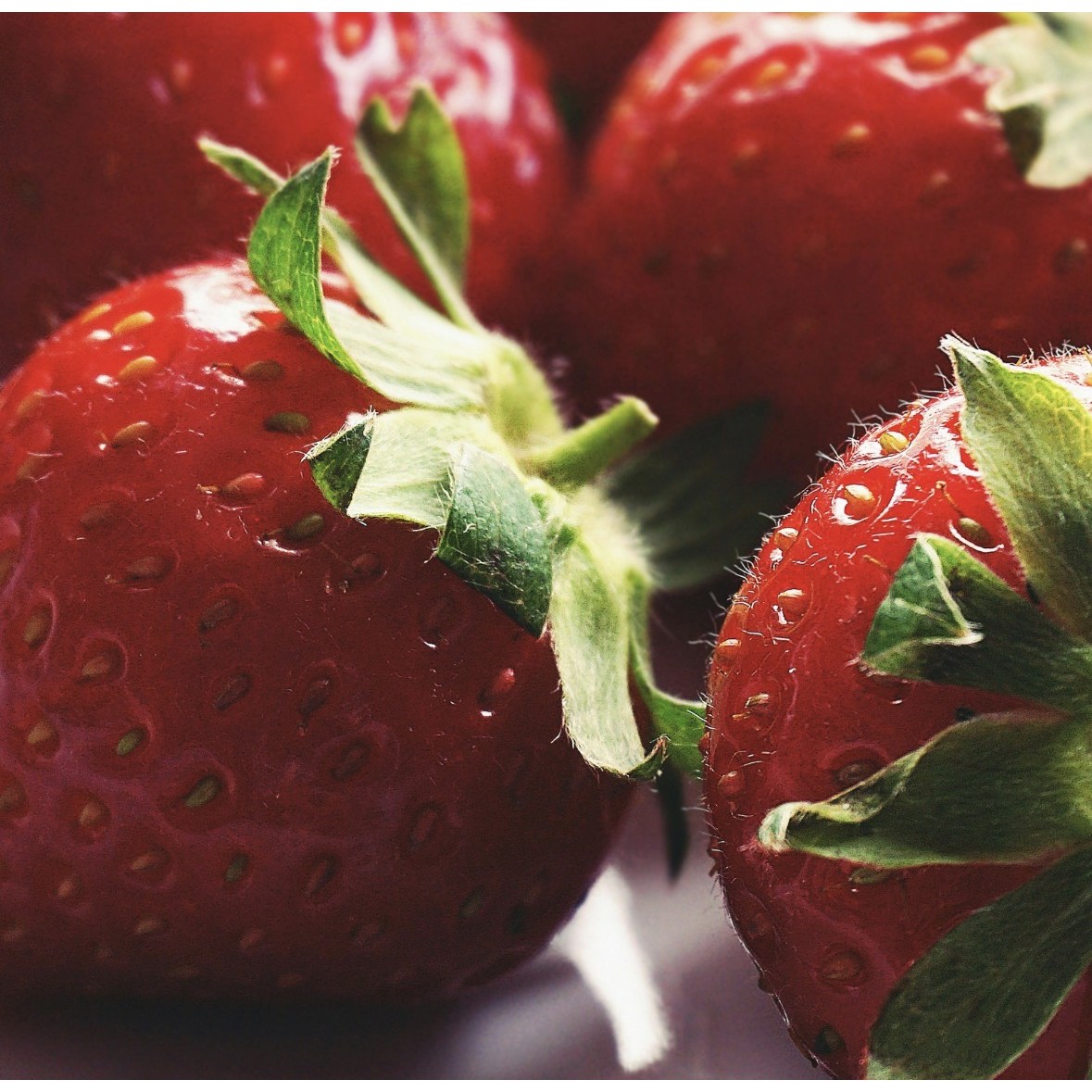 산지직송 논산 설향 딸기 24구 GAP 싱싱한 새벽 수확 설향 상급 (새벽 수확) 17,900원