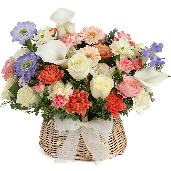 119플라워 (당일배송) 아름다운계절꽃 ST-A1813 꽃바구니 전국꽃배달 생일 기념일 꽃선물 생화 꽃배달, 1개 72,800원