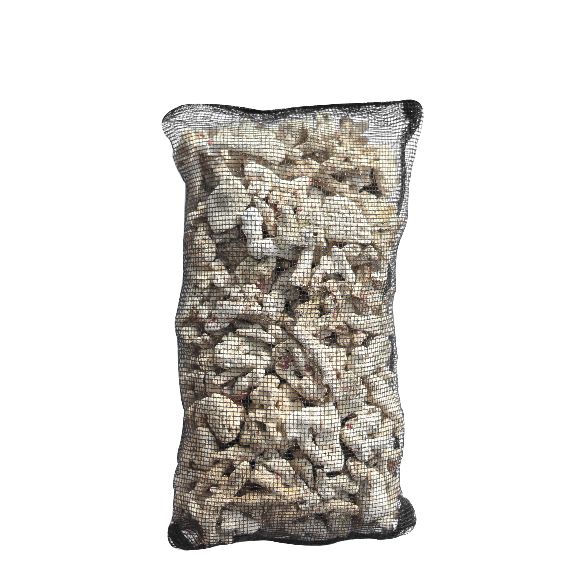 모비딕 관상어 뼈산호 2kg 17,500원