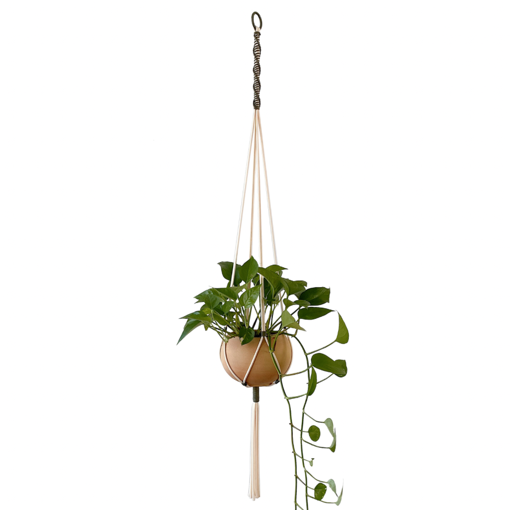 렛비 마크라메 행잉 식물 화분 걸이 플랜트 행거, 1개, 아이보리+브라운 24,900원