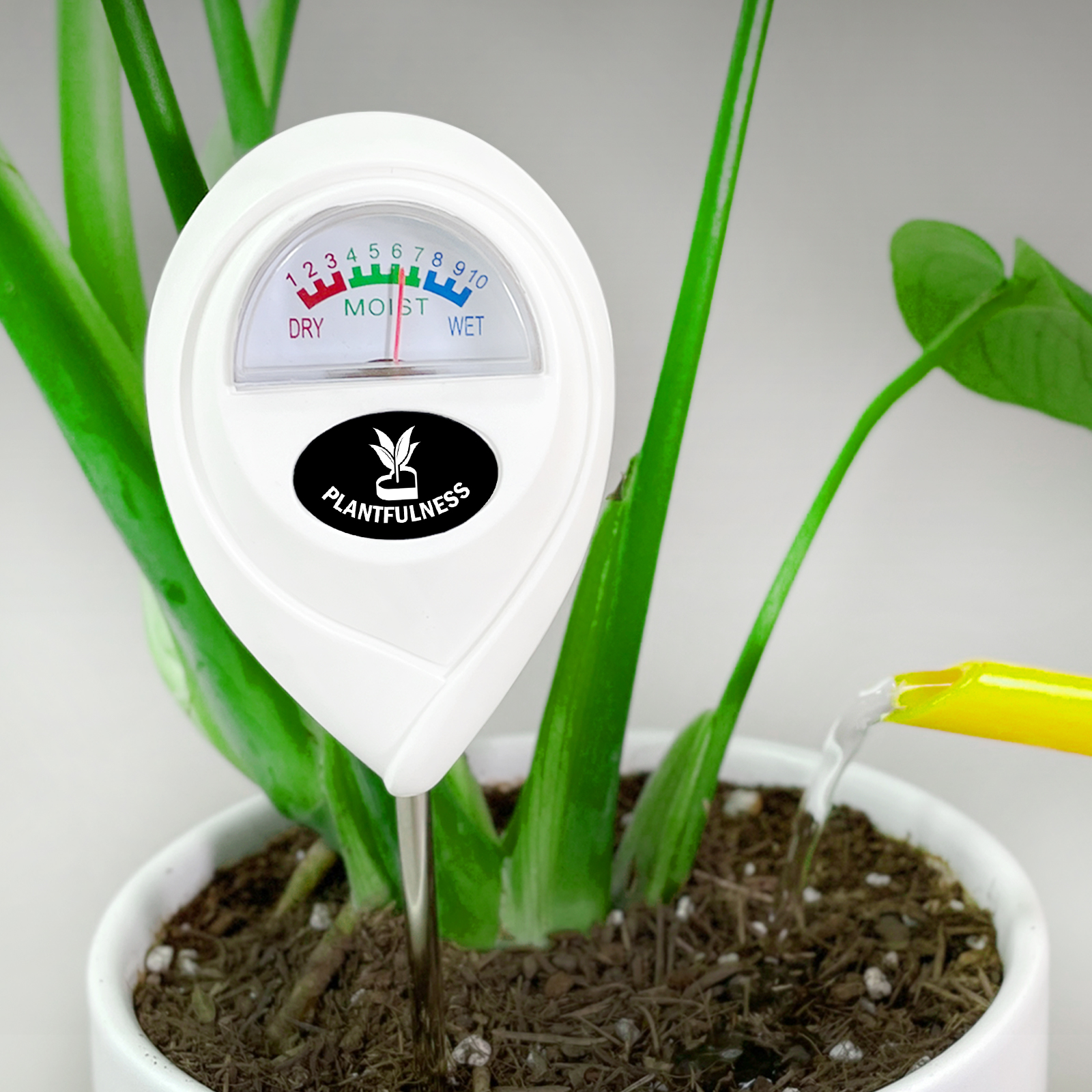 식물전파사 눈금 물주시개 10,150원