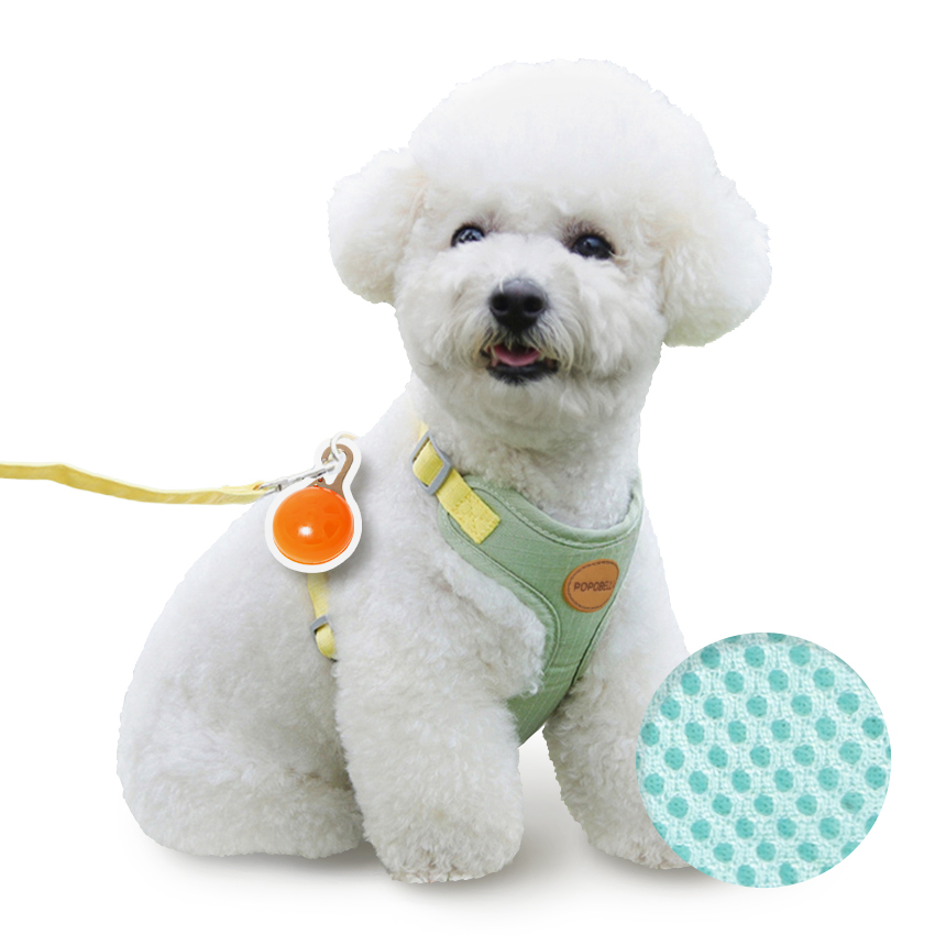 포포벨라 강아지 하네스 리드줄 야광펜던트세트, 그린+펜던트 오렌지, 1개 13,900원