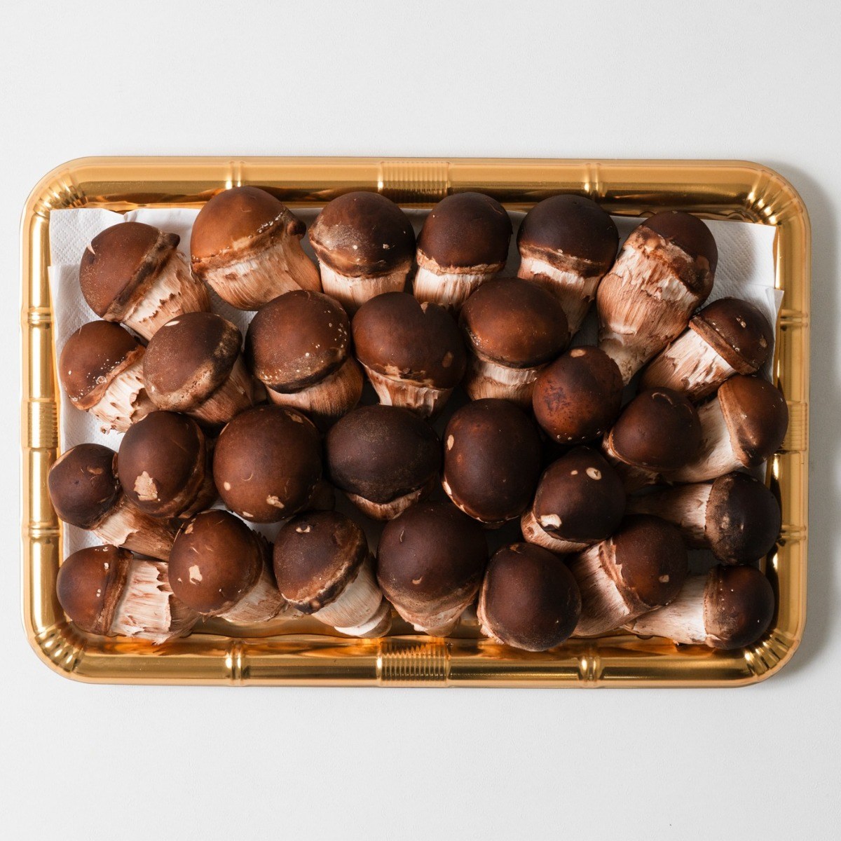 무농약/GAP 참송이버섯 연말선물 부모님지인선물 120,000원