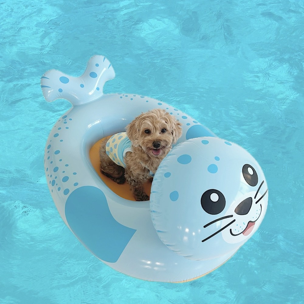 리치독스 강아지 물놀이 물개 튜브 11,400원